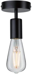 Paulmann 79760 - Mennyezeti lámpa HALDOR 1xE27/20W/230V