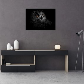 Kép - bagoly, ábra (üvegen) (70x50 cm)