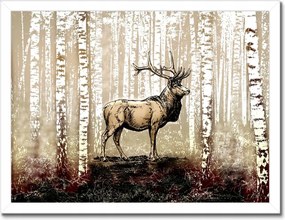 Poszter keretben 40x30 Szarvas Nyírfa Erdő