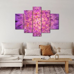 Részletes virágkép (150x105 cm)