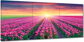 Vászonkép 210x100 Tulipánok tengere Virágok