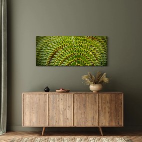 Kép - Fern (120x50 cm)
