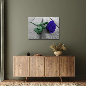 Kép - Kék rózsa zöld szárral (70x50 cm)
