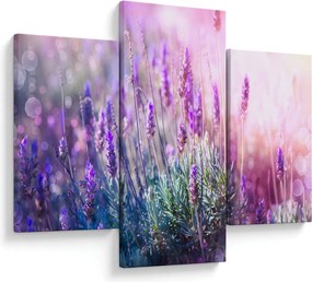 Kép - Levendula a csillogó napban (90x60 cm)