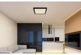 Globo 12380-24B - LED Mennyezeti lámpa LASSE LED/24W/230V 3000/4000/6500K fekete