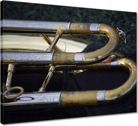 Vászonkép 50x40 Trombita