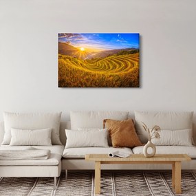Kép - Rizs teraszok Vietnamban (90x60 cm)