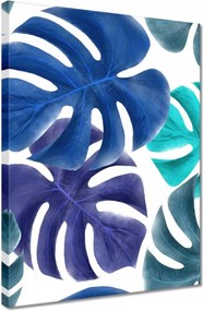 Vászonkép 30x40 Monstera Levelek Kék