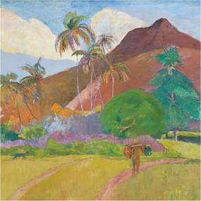 Fotótapéta Flizelin Fal a Hálószobába Egzotikus természet 250x250 Ragasztó