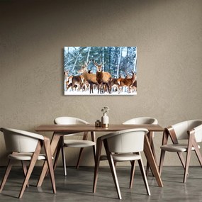 Kép - Szarvas csorda (90x60 cm)