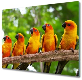 Üveg vágódeszka Papagájok, elágazik 60x52 cm