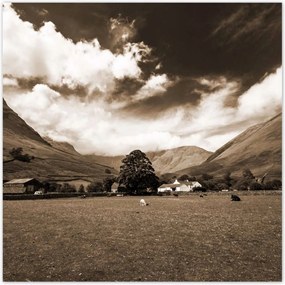 Poszterek 30x30 Ír táj Szépia