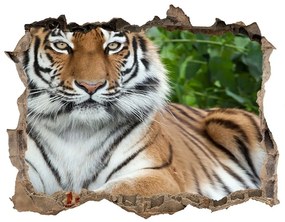 Lyuk 3d fali matrica Szibériai tigris nd-k-129133169