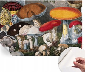 Matt öntapadós fotótapéta Falra Botanikus gombåk 152x104 cm