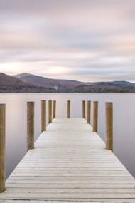 Poszter 40x60cm, Assaf Frank