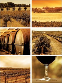 Fotótapéta konyha szőlő fotótapéta 184 x 254