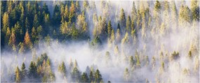 Fák képe a ködben (120x50 cm)