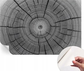 Öntapadós fotótapéta Nappaliba és Hálószobába Erdei harmónia 104x70