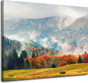 Vászonkép Hegy Erdők Rétek Felhők Természet 100x80 cm