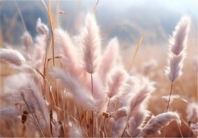 Fotótapéta Pampas Fű Boho Fali Tapéta Nappali Hálószoba 368x254