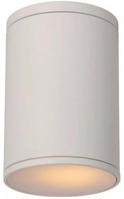 Lucide 27870/01/31 - Fürdőszobai mennyezeti lámpa TUBIX 1xE27/24W/230V IP54