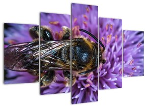 Méh a virágon képe (150x105 cm)