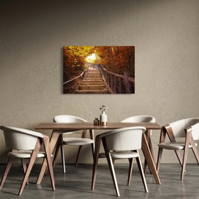 Kép - Lépcsők a természetben ősszel (90x60 cm)