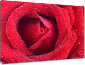 Vászonkép 90x60 Nőnap Ajándék Love