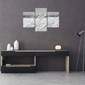 Kép - Strandfű (90x60 cm)