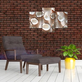 Kép - Kókuszdiók (90x60 cm)