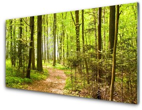 Üvegkép falra Forest Path Természet 125x50 cm 2 fogas