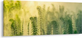 Kép - Részlet a tavaszi ködös természetből (120x50 cm)