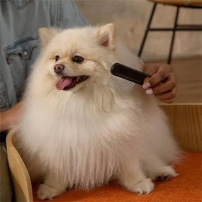 Kisállat kefe, széles fogú, FISKARS PetCare (IF2009134)