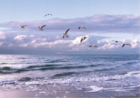 Fotótapéta Tengeri tájak és sirályok relax vinil 208x146 +ragasztó