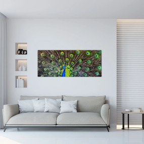 Kép - Páva (120x50 cm)