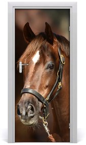Ajtóposzter öntapadós Portré egy ló 85x205 cm