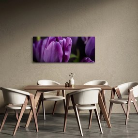 Tulipán vírág képe (120x50 cm)