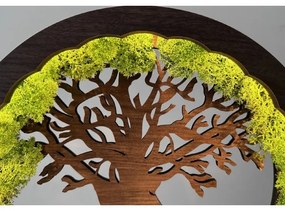 Li-Go 23631/DUB2 - LED fényerőszabályozható asztali dekoráció LED/12W/230V 30x31 cm tölgy