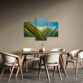 Kép - A pálmalevél részlete (90x60 cm)