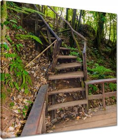 Vászonkép 50x50 Gyalogtúra