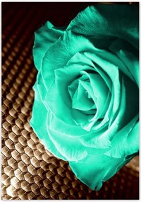 Poszterek 70x100 Türkiz rózsa szépia