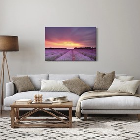 Kép - Levendula mező (90x60 cm)