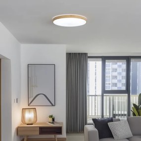 Brilagi - LED fényerőszabályozható mennyezeti lámpa PINE LED/60W/230V + távirányítóval