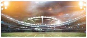 Kép - Stadium (120x50 cm)