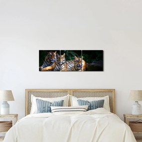 Kép - Tigris testvérek (órával) (90x30 cm)