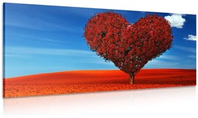 Kép gyönyörű szív alakú fa