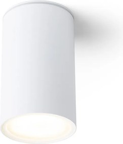 RENDL DUNE E27 mennyezeti lámpa fehér 230V LED E27 9W IP65