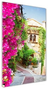 Üvegkép falra Provence franciaország osv-114973213