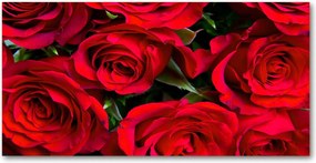 Fotó vászonkép edzett üveg Vörös rózsák 140x70