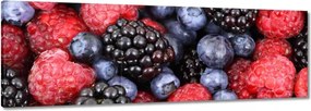 Vászonkép 120x40 Zamatos gyümölcsök
